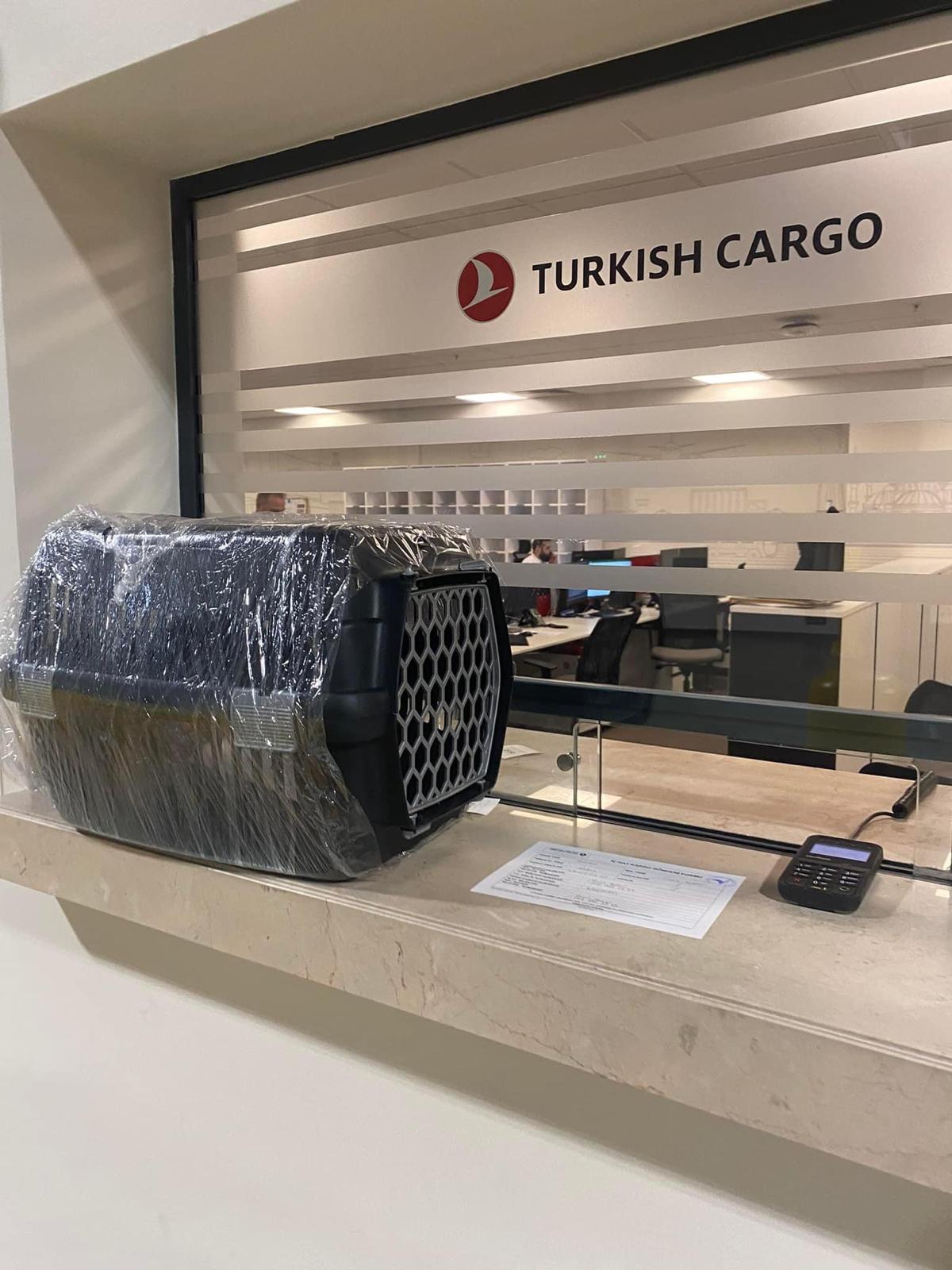 İstanbul Pet Transfer araçlarıyla modern ve hijyenik taşıma
