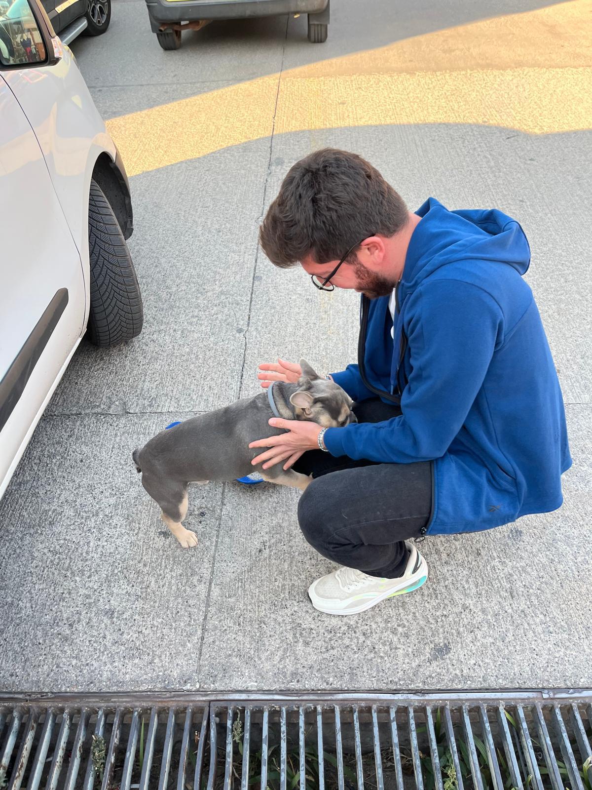 İstanbul Pet Transfer ile sevimli dostlarınız için hijyenik taşıma
