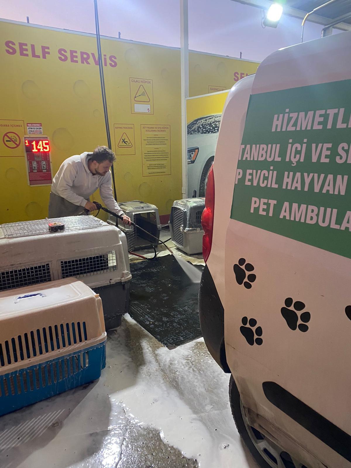 İstanbul Avcılar Pet Transfer çözümleriyle modern taşımacılık
